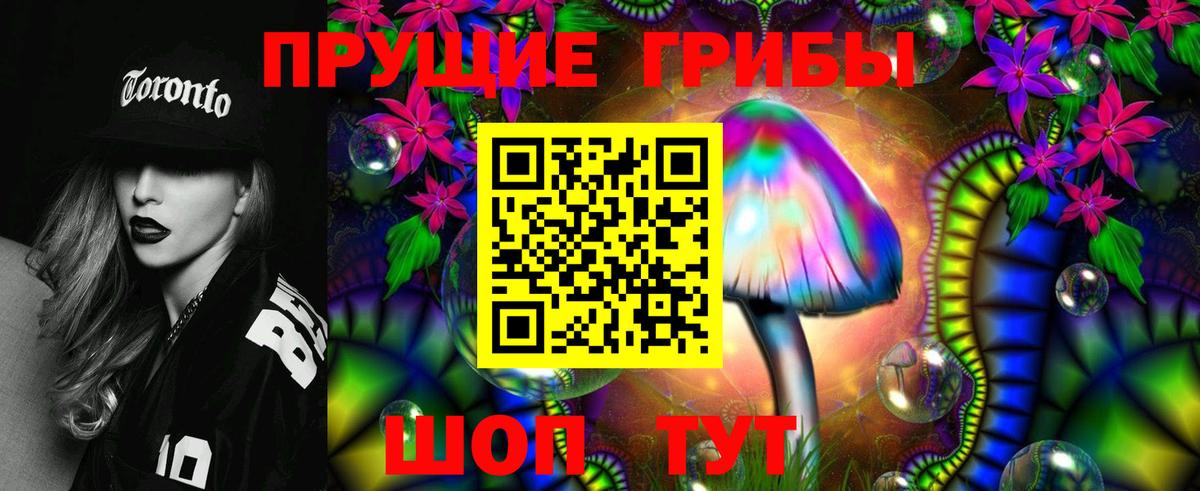 Минусинск  Псилоцибиновые грибы прущие грибы  Вход с VPN 